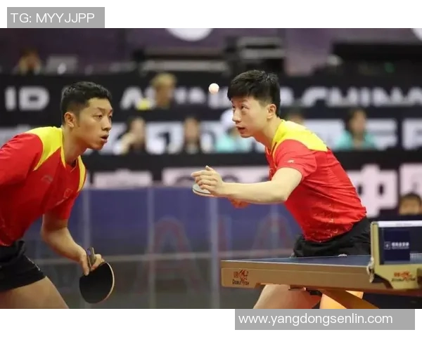 南京乒乓球队表现出色最新乒乓球状态TOP10榜单揭晓