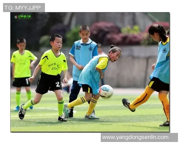 小青蛙足球：探索小动物们的足球梦想与友谊之旅