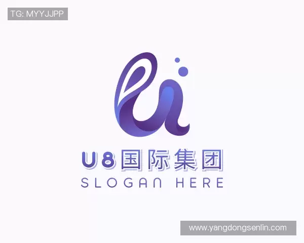 解读U8国际官网