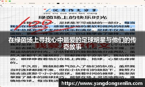 在绿茵场上寻找心中最爱的足球明星与他们的传奇故事