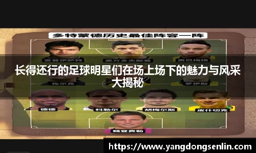 长得还行的足球明星们在场上场下的魅力与风采大揭秘